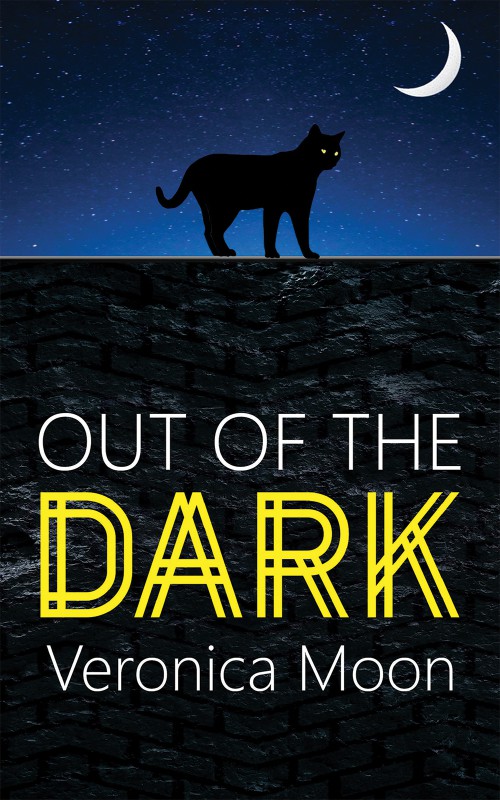 Out Of The Dark-bookcover
