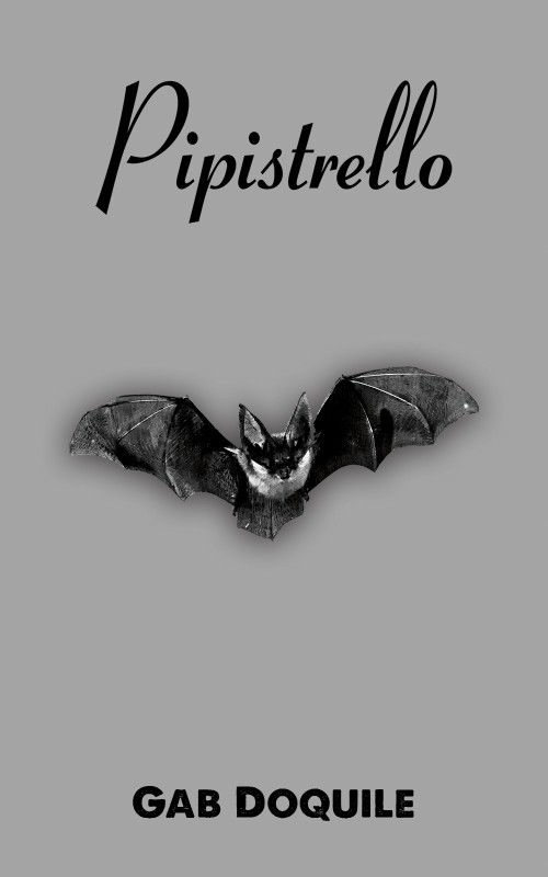 Pipistrello-bookcover