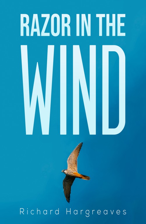 Razor in the Wind-bookcover