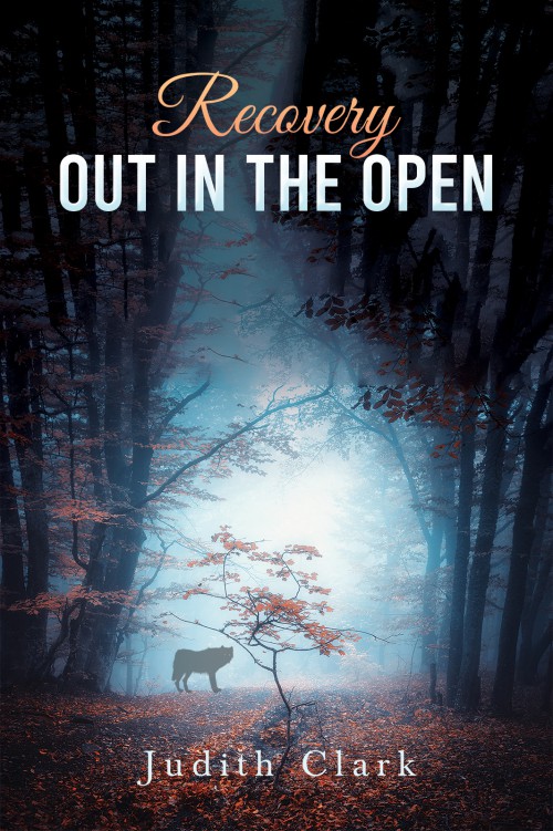 Recovery: Out in the Open-bookcover