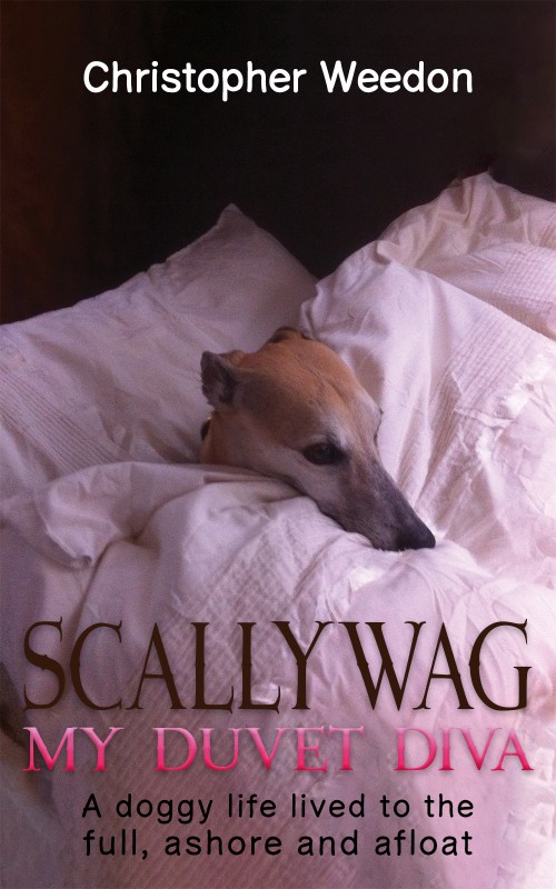 Scallywag – My Duvet Diva-bookcover