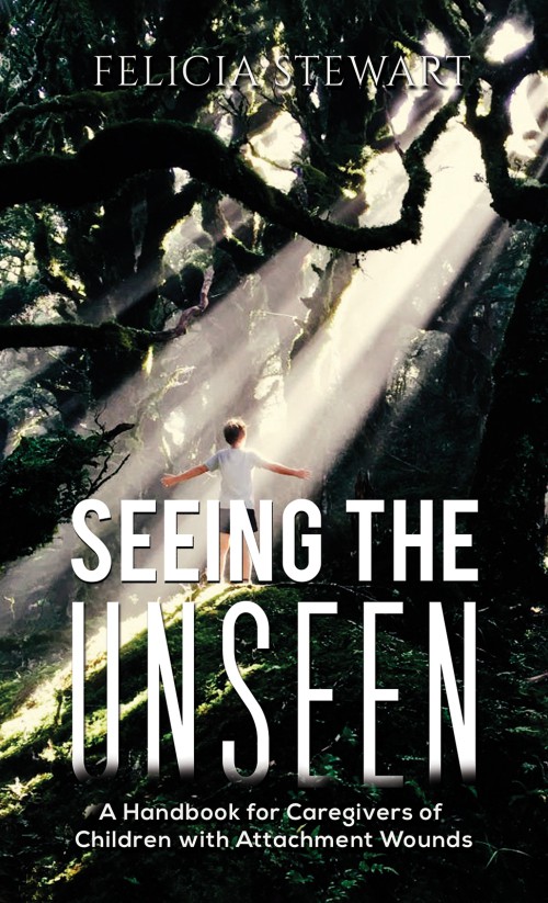 Seeing the Unseen-bookcover