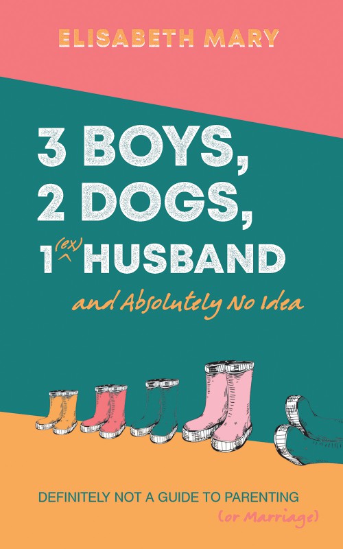 3 Boys, 2 Dogs, 1 (Ex) Husband and Absolutely No Idea-bookcover