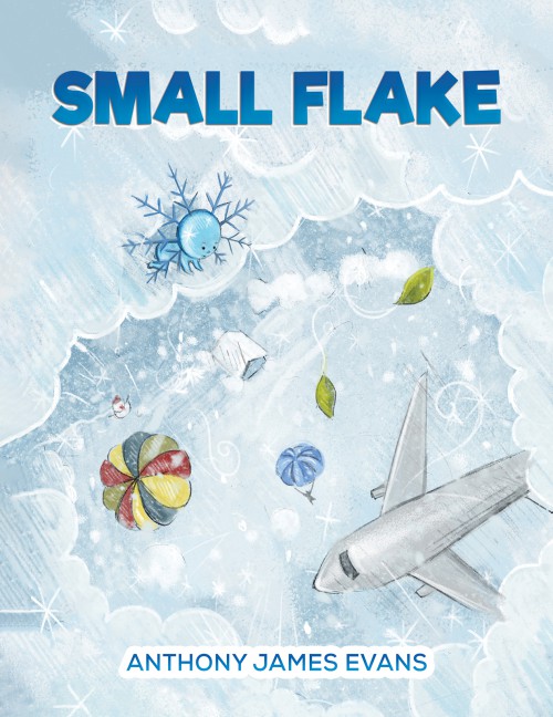 Small Flake-bookcover