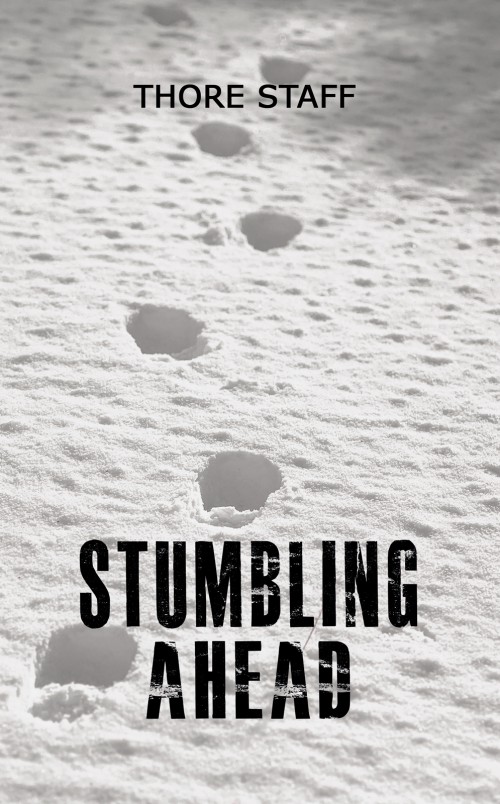 Stumbling Ahead-bookcover
