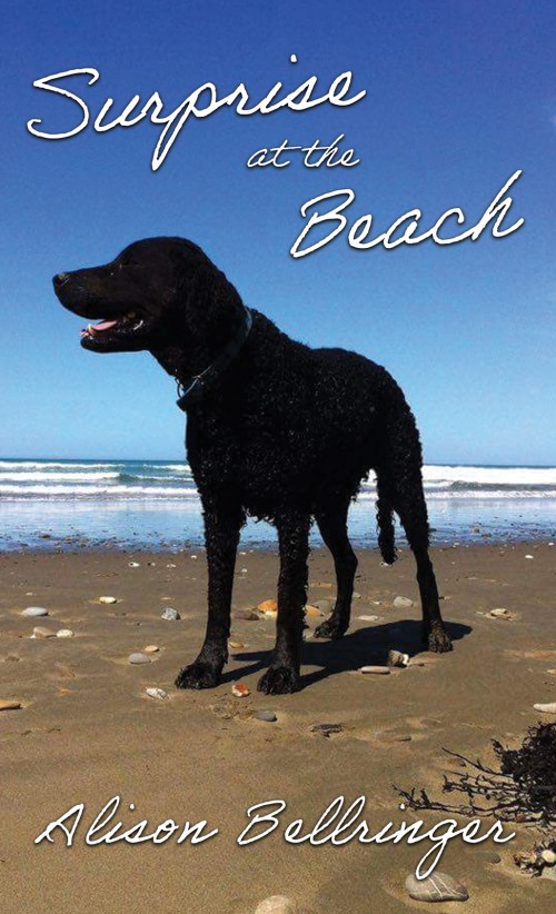 Surprise at the Beach-bookcover