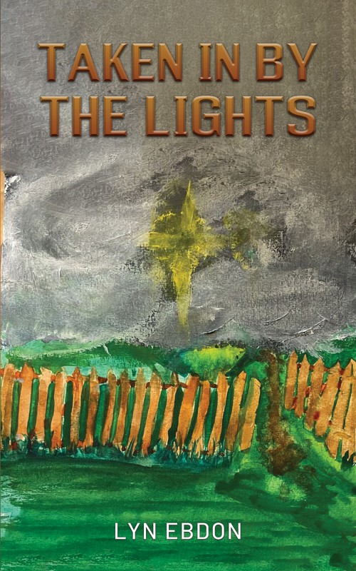 Taken in by the Lights-bookcover