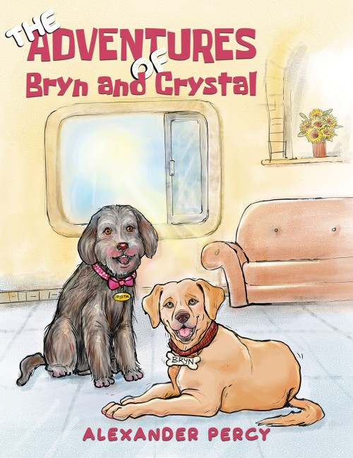 The Adventures of Bryn and Crystal-bookcover