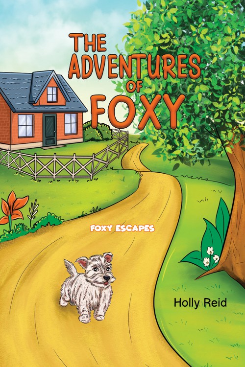 The Adventures of Foxy-bookcover