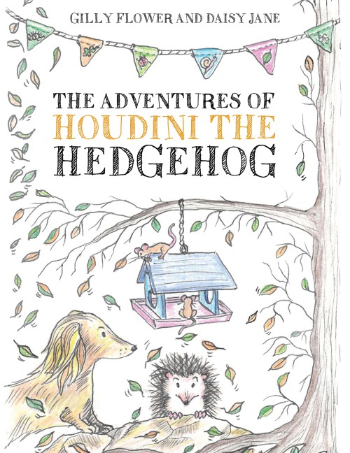 The Adventures of Houdini the Hedgehog-bookcover