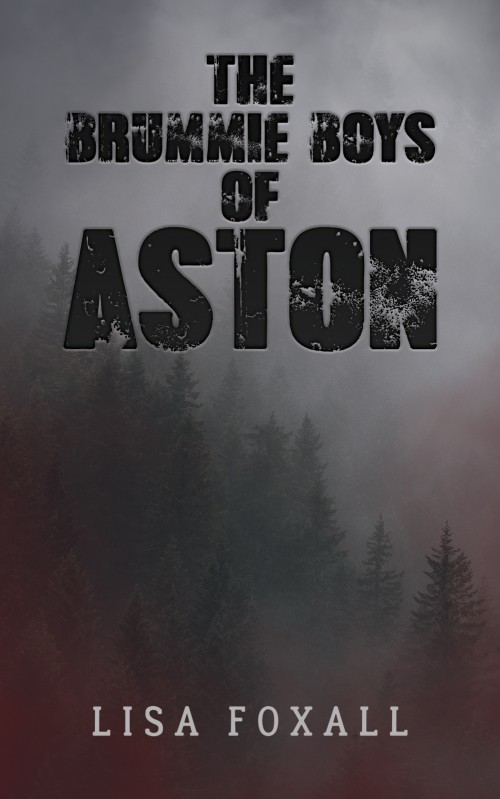 The Brummie Boys of Aston-bookcover