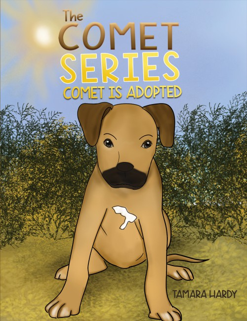 The Comet Series: Comet Is adopted-bookcover