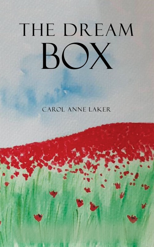 The Dream Box-bookcover
