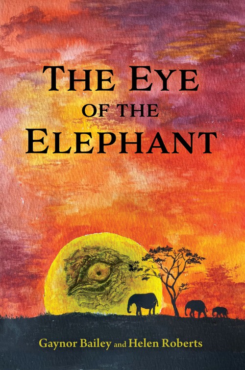 The Eye of the Elephant-bookcover