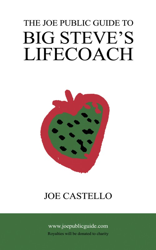 The Joe Public Guide To Big Steve's Lifecoach-bookcover