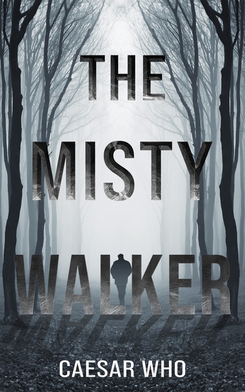 The Misty Walker-bookcover