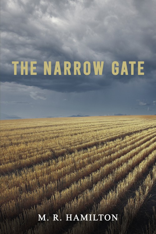 The Narrow Gate-bookcover