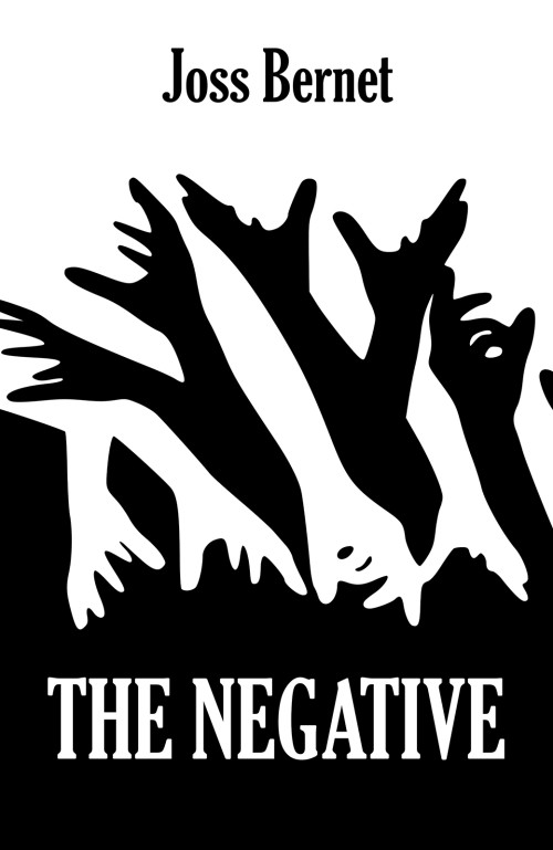 The Negative-bookcover