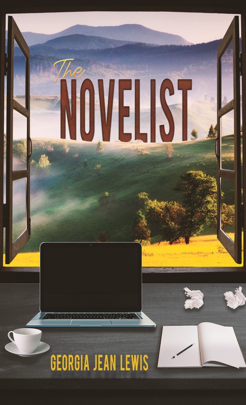 The Novelist-bookcover