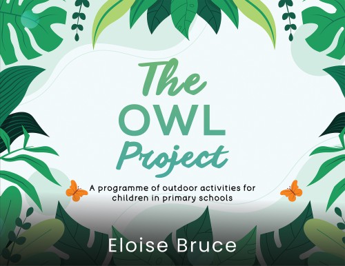 The Owl Project