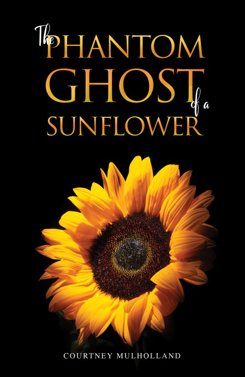 The Phantom Ghost of a Sunflower-bookcover