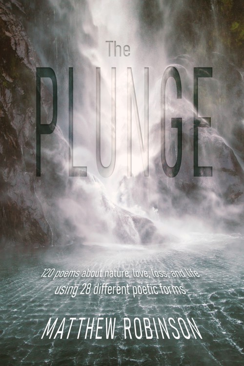 The Plunge-bookcover