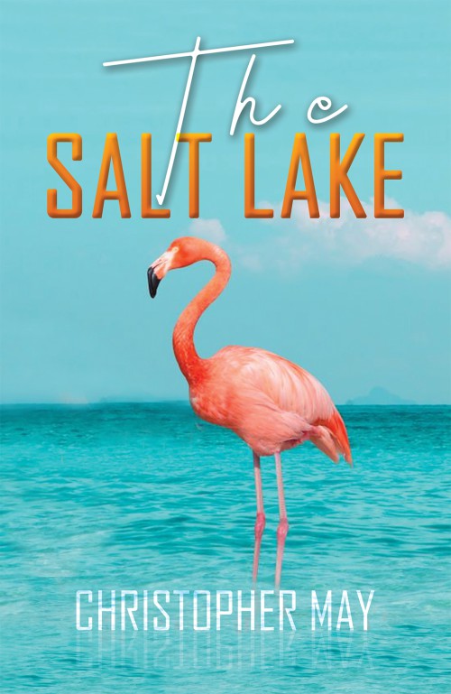 The Salt Lake-bookcover