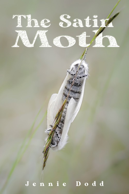 The Satin Moth-bookcover