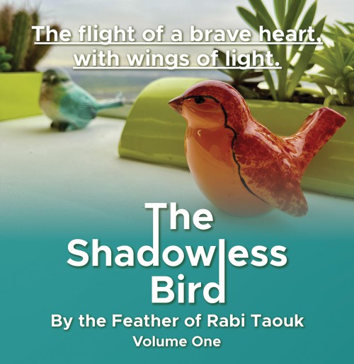 The Shadowless Bird-bookcover