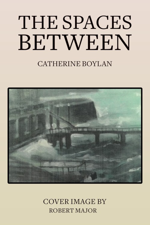 The Spaces Between-bookcover