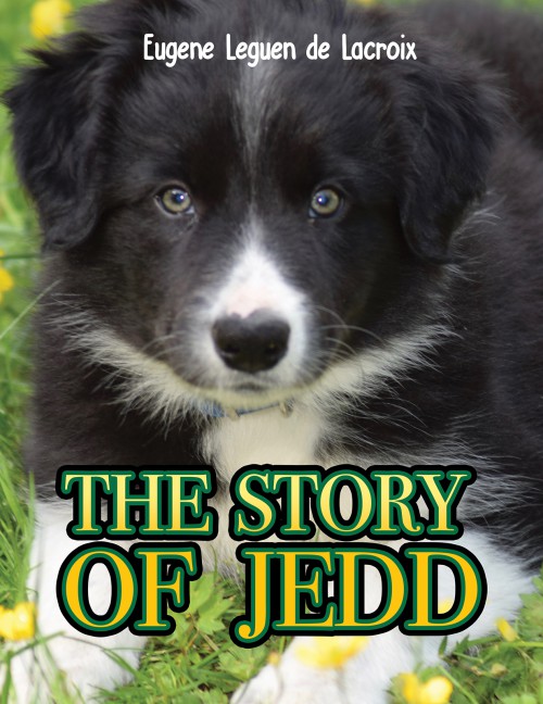 The Story of Jedd-bookcover