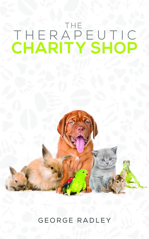 The Therapeutic Charity Shop-bookcover