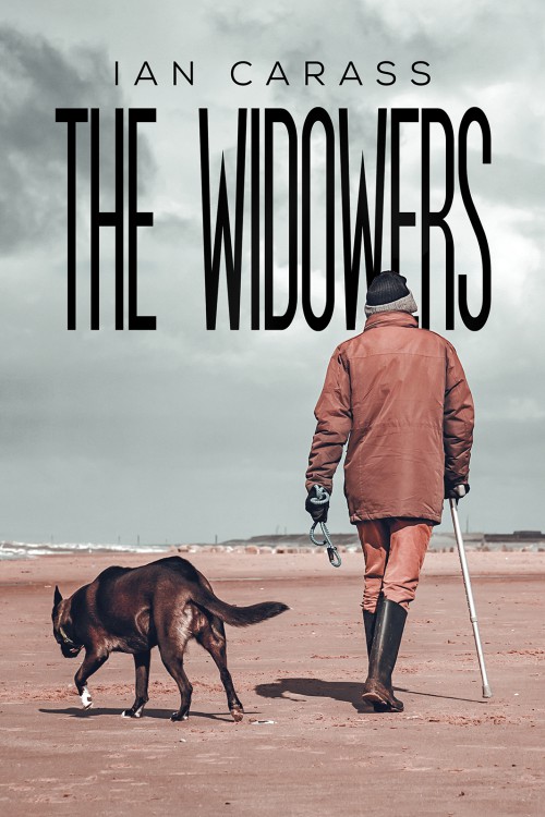 The Widowers-bookcover