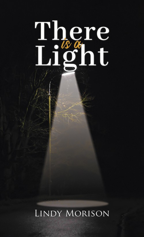 There is a Light-bookcover