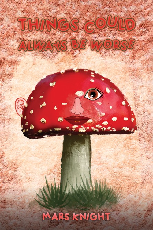 Things Could Always Be Worse-bookcover