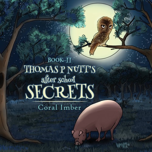 Thomas P Nutt's After School Secrets-bookcover