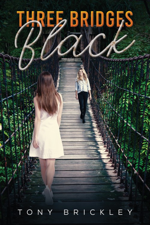 Three Bridges Black-bookcover