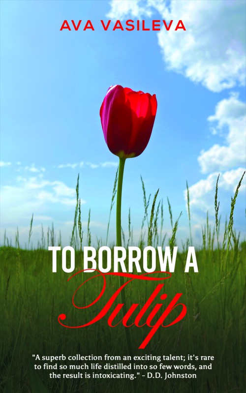 To Borrow a Tulip-bookcover