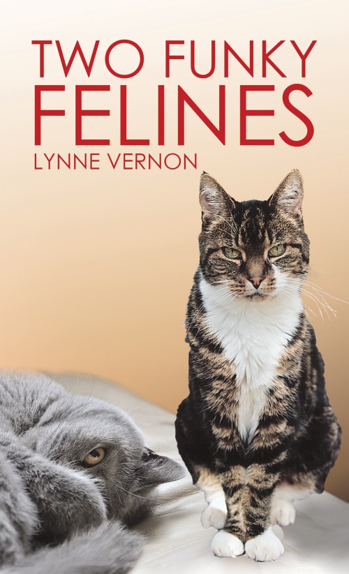 Two Funky Felines-bookcover