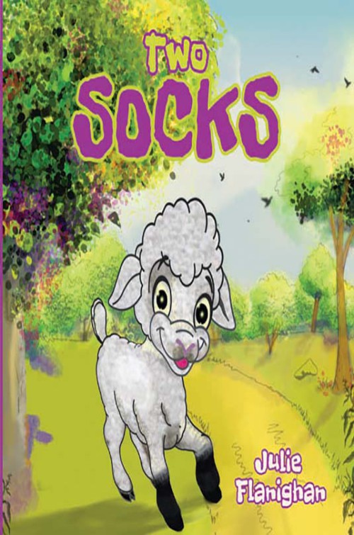Two Socks-bookcover