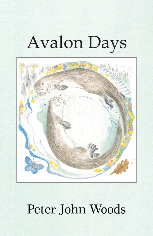 Avalon Days-bookcover