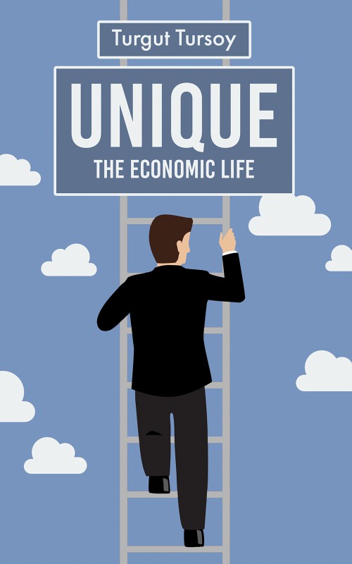 Unique - the economic life-bookcover