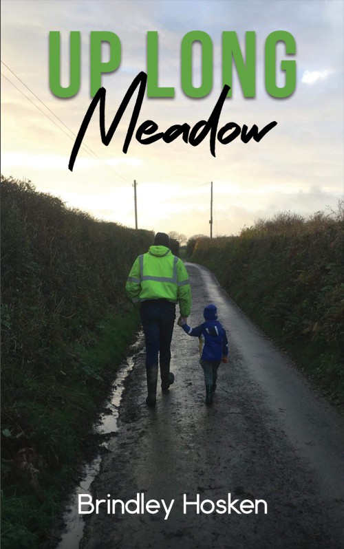 Up Long Meadow-bookcover