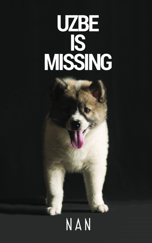 Uzbe Is Missing-bookcover