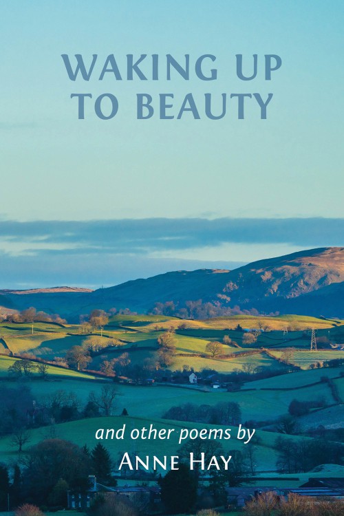 Waking Up to Beauty-bookcover