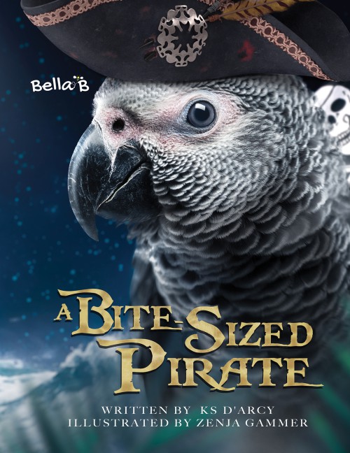 A Bite-Sized Pirate-bookcover