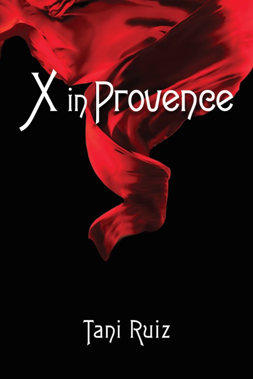 X in Provence-bookcover