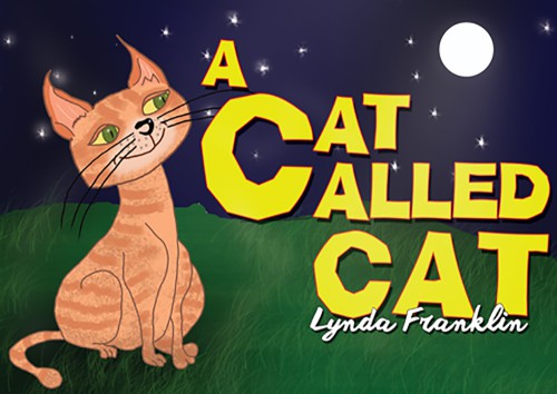 A Cat Called Cat -bookcover