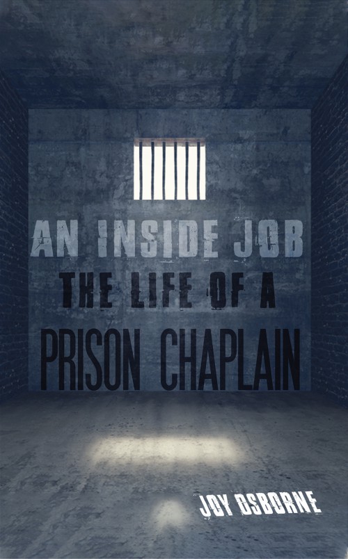 An Inside Job-bookcover