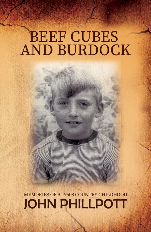 Beef Cubes And Burdock-bookcover